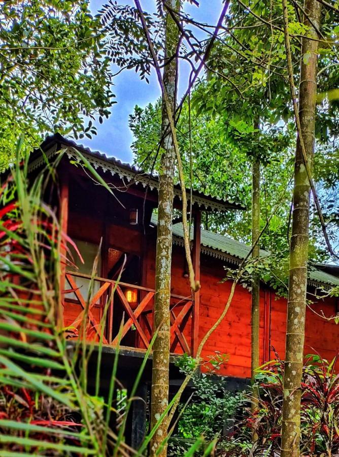 Wooden Cottages Glen Wayanad Meppadi Exterior photo