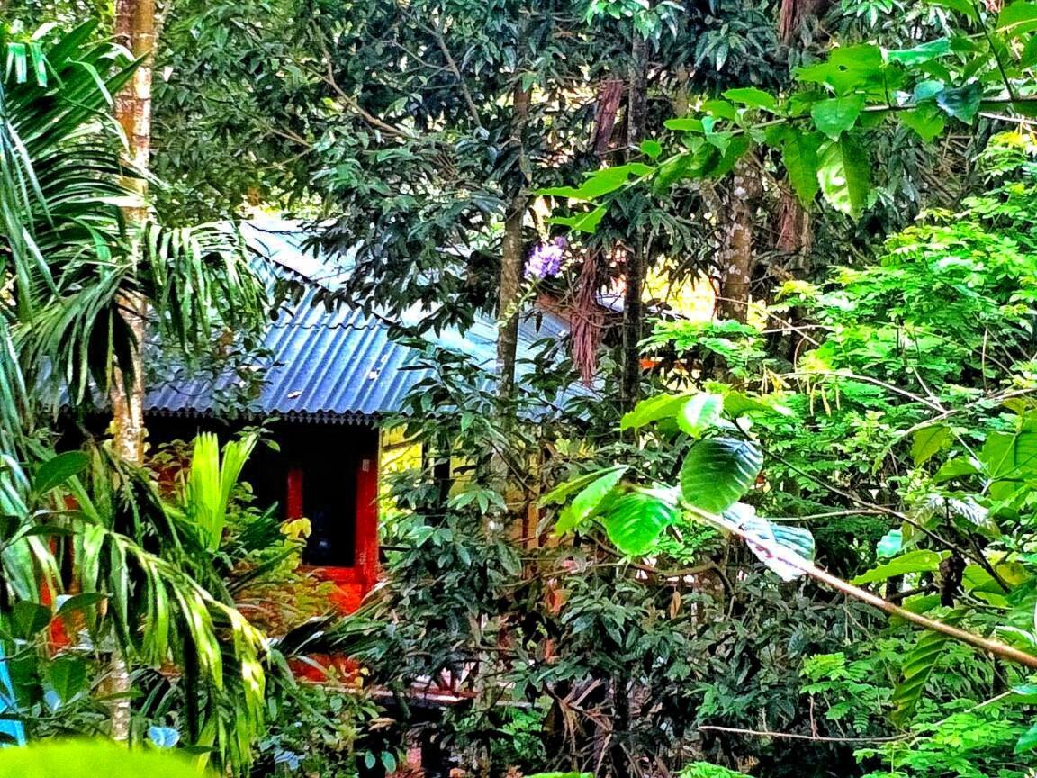 Wooden Cottages Glen Wayanad Meppadi Exterior photo