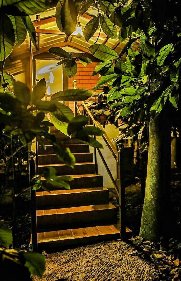 Wooden Cottages Glen Wayanad Meppadi Exterior photo