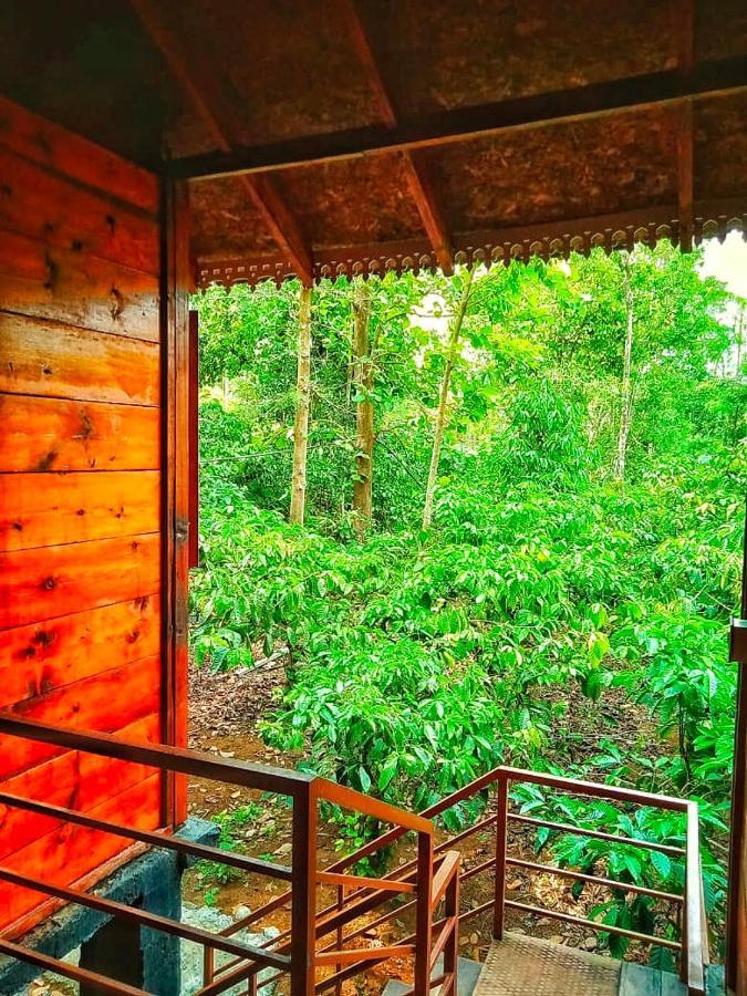 Wooden Cottages Glen Wayanad Meppadi Exterior photo