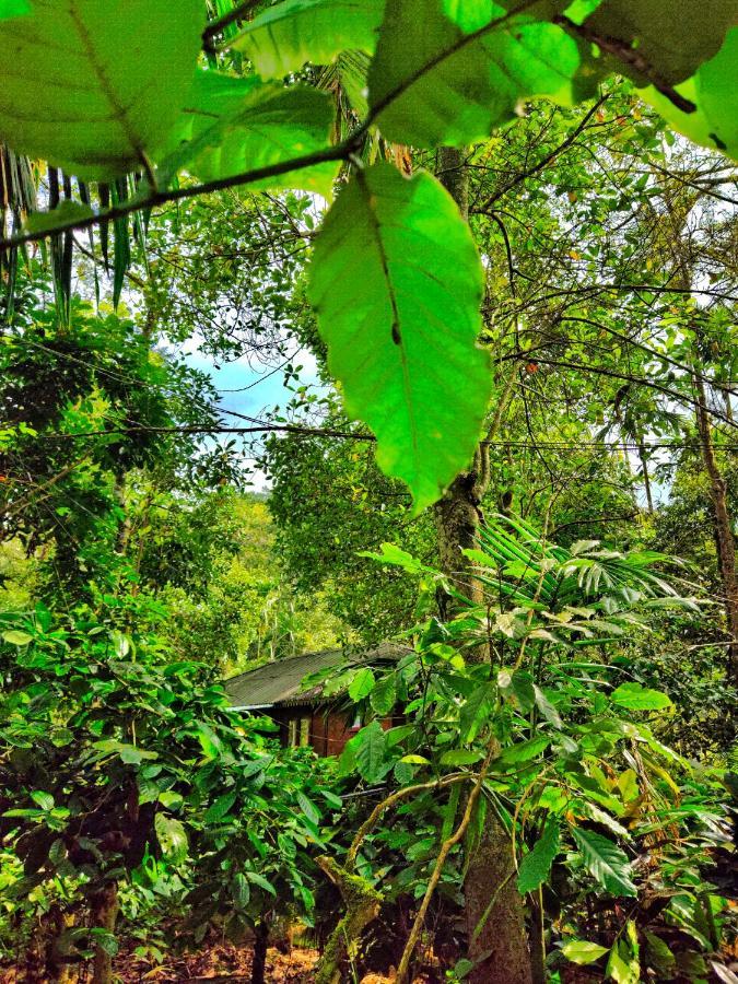 Wooden Cottages Glen Wayanad Meppadi Exterior photo