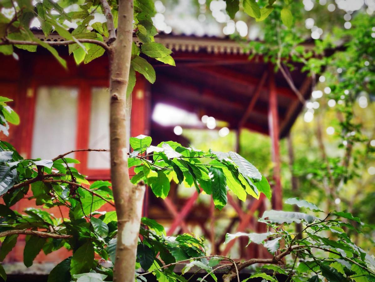 Wooden Cottages Glen Wayanad Meppadi Exterior photo