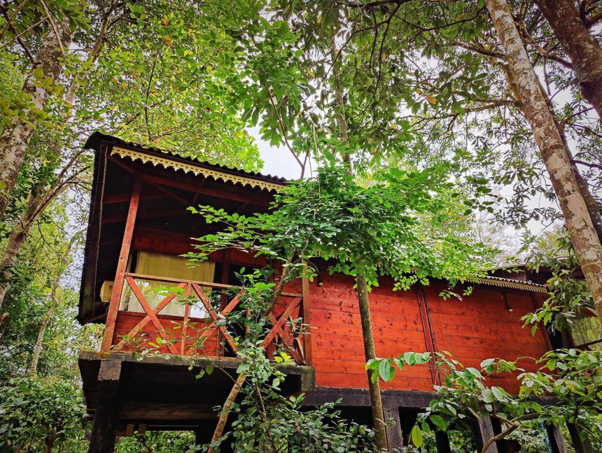 Wooden Cottages Glen Wayanad Meppadi Exterior photo