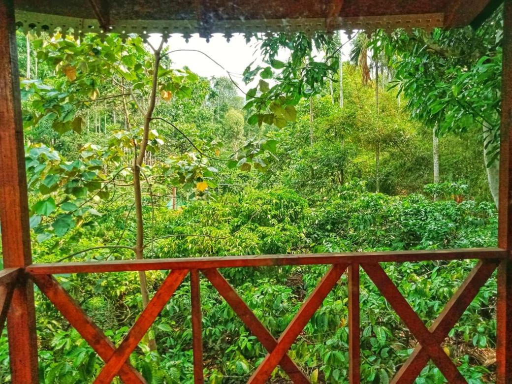 Wooden Cottages Glen Wayanad Meppadi Exterior photo