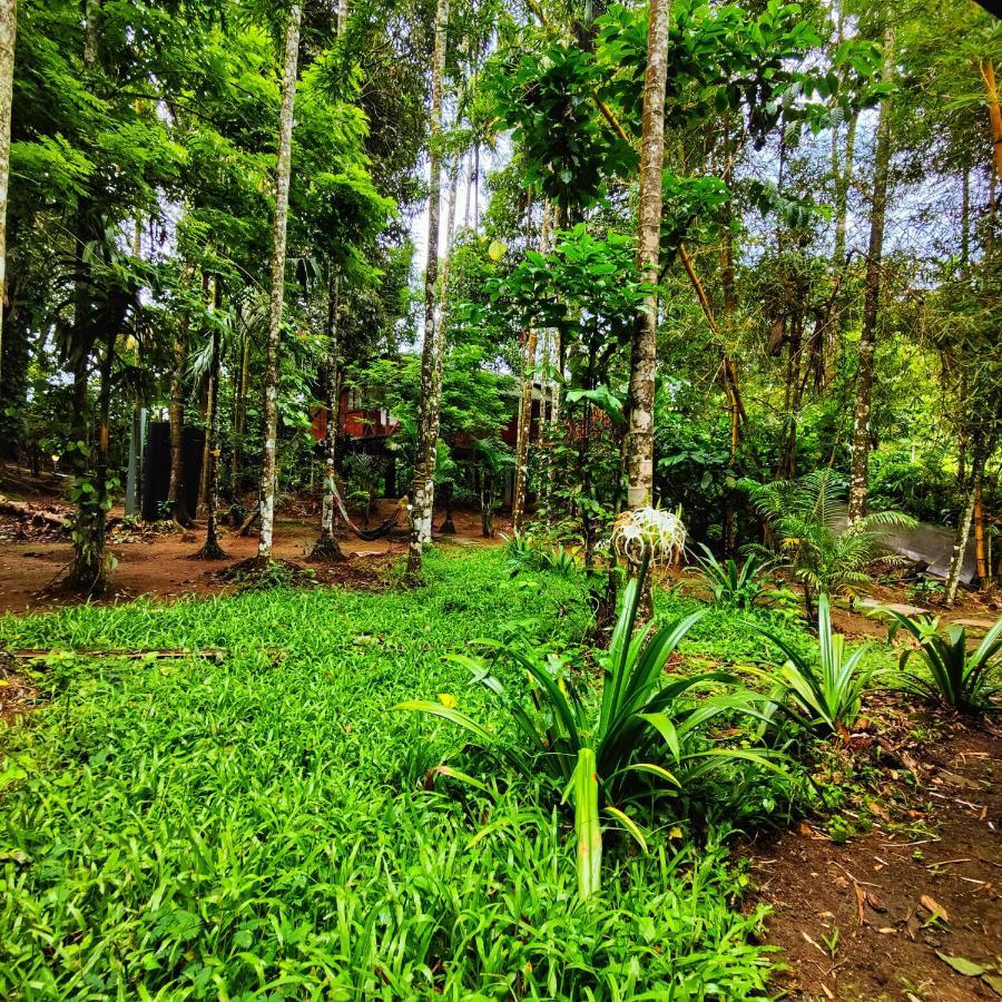 Wooden Cottages Glen Wayanad Meppadi Exterior photo