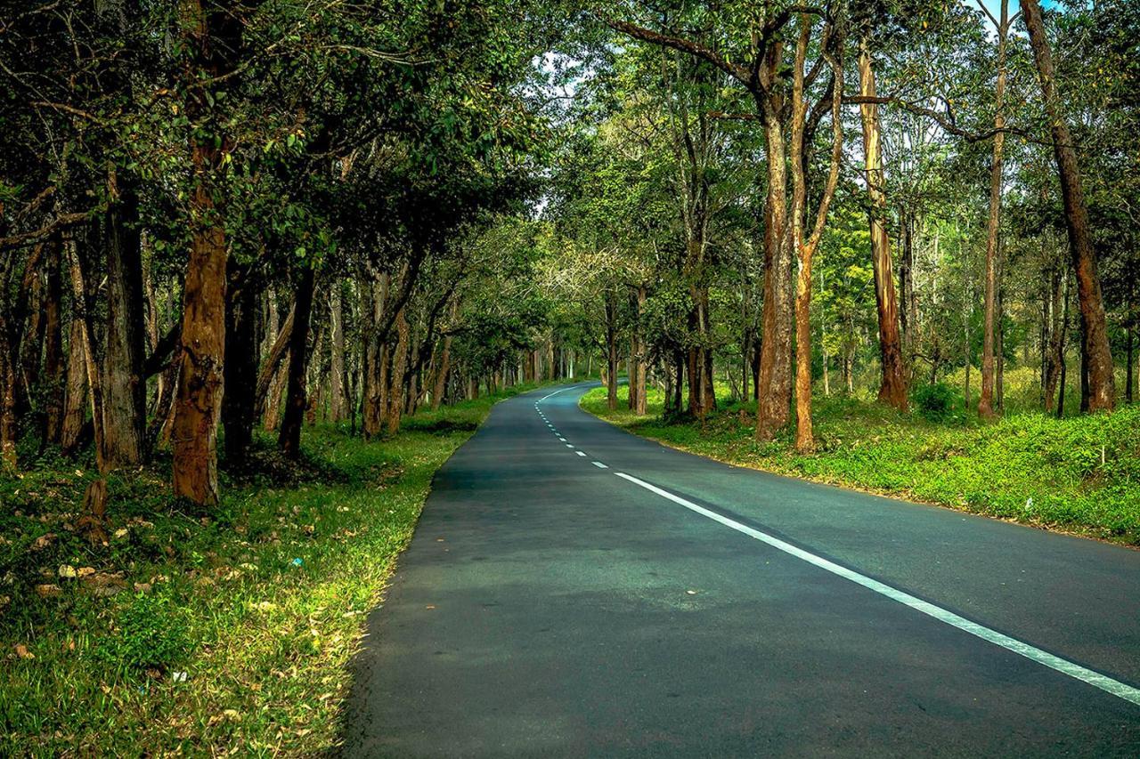 Wooden Cottages Glen Wayanad Meppadi Exterior photo